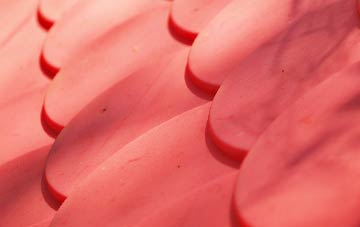 Portinscale plastic roof costs